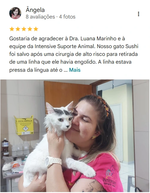 Avaliação 5 estrelas